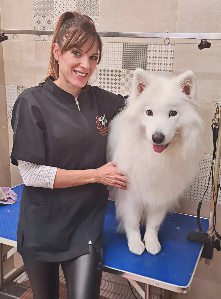 alba groomer villamascota madrid